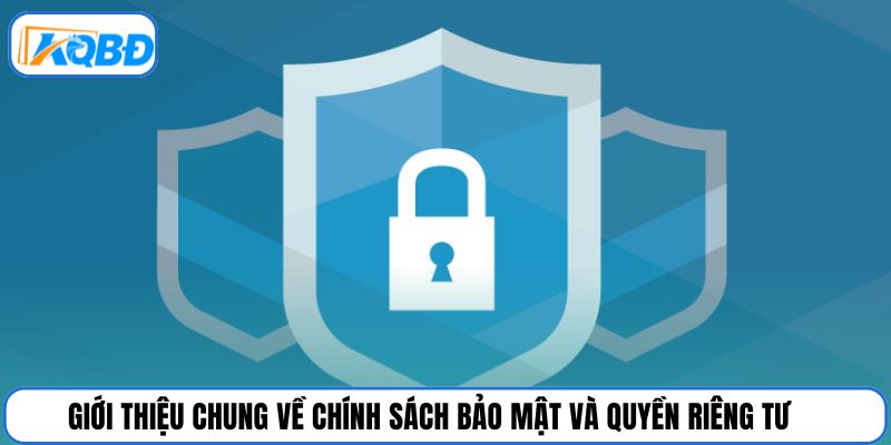 Giới thiệu chung về chính sách bảo mật và quyền riêng tư