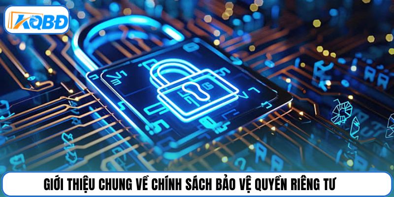 Giới thiệu chung về chính sách bảo vệ quyền riêng tư